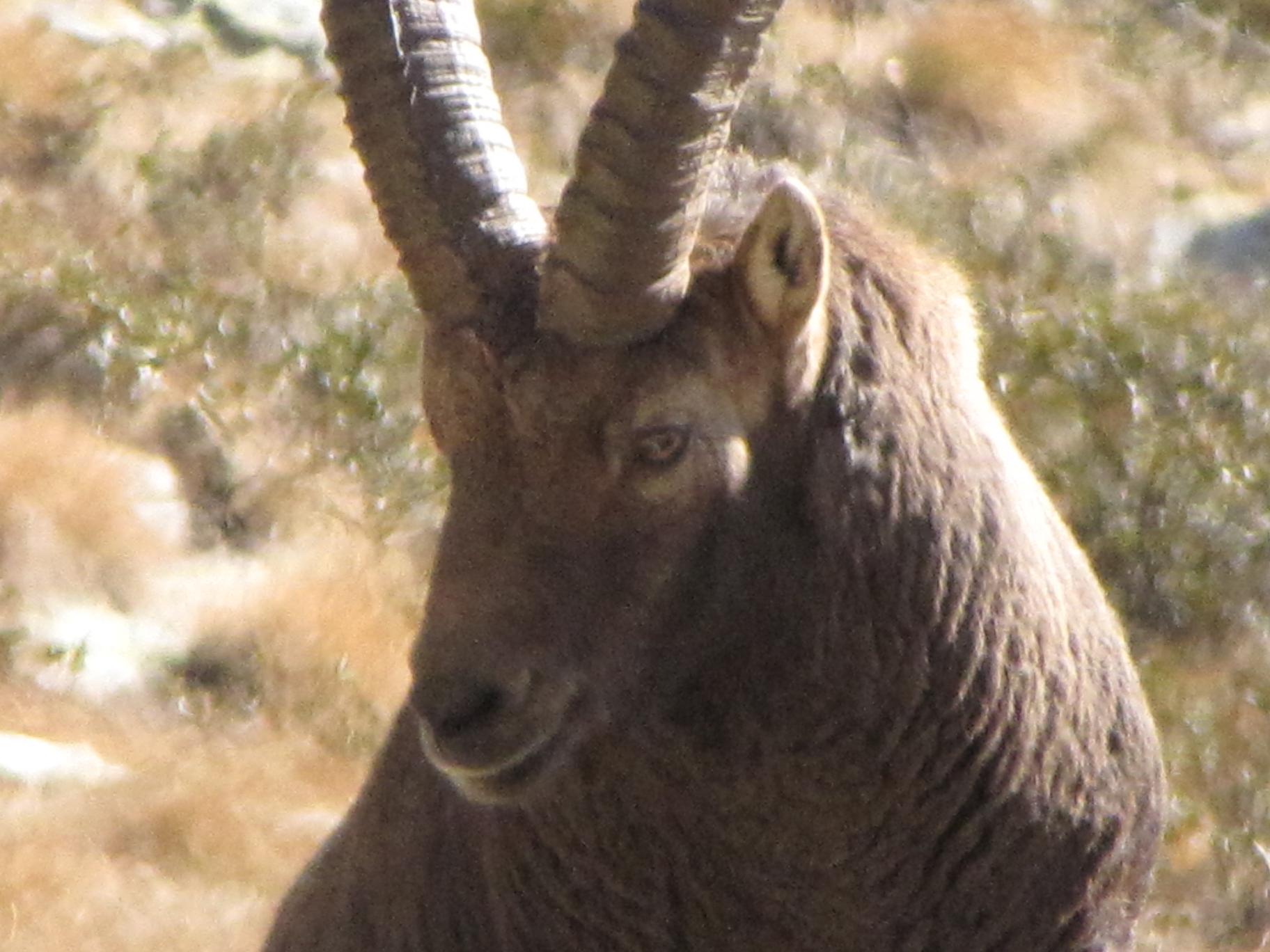 Visita allo zoo di Avert